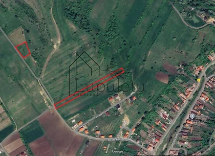 Teren Extravilan de Vânzare – 2.500 mp | Hamba