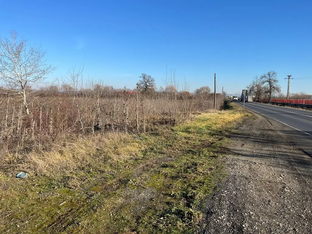 Teren intravilan, Săcădat, 27 921 mp. 9,5 Euro/mp. Comision 0.