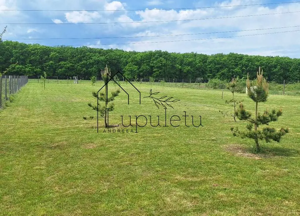 Teren Extravilan | 2.000 MPU | Intabulat | Zonă liniștită