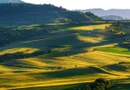 1.500 ha Teren agricol și pășune (Vestul României)