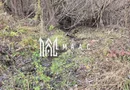 Teren de vanzare | Orlat | Extravilan