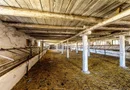 Fermă Mândruloc 2,5 ha