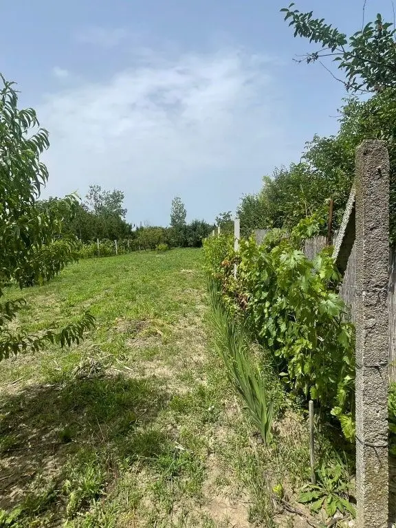 Vând teren intravilan, Str Dealului 64 - 936 mp,front stradal 13.4 m