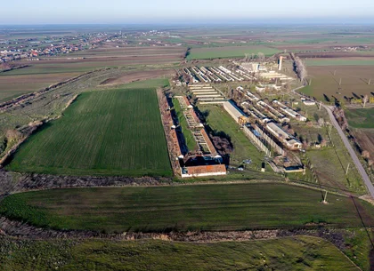 NĂDLAC | Teren 1.15 HA lângă Autostradă | 2.500mp Hale