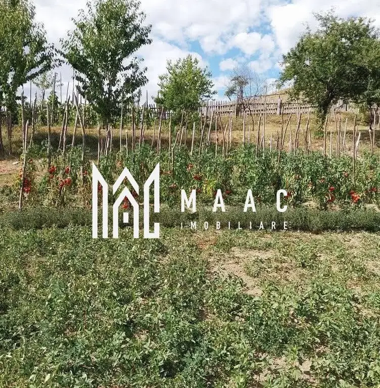 Casa I 60000 mp pamant I Cugir I Alba