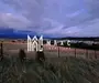 Teren | Intravilan | 650 MP | 60% POT | Oportunitate de Investiție