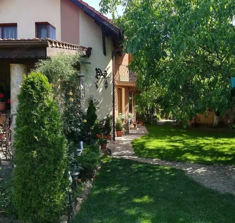 BRASADAS vinde casa individuala Lucian Blaga.