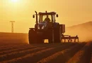 Fermă Agricolă Consolidată – 4.000 ha |Nord-Est România|Activ Premium