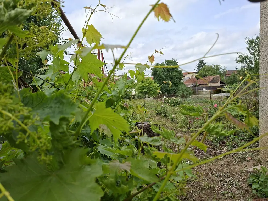 BRASADAS vinde casa individuala 8 cam 8.6a zona Baritiu.