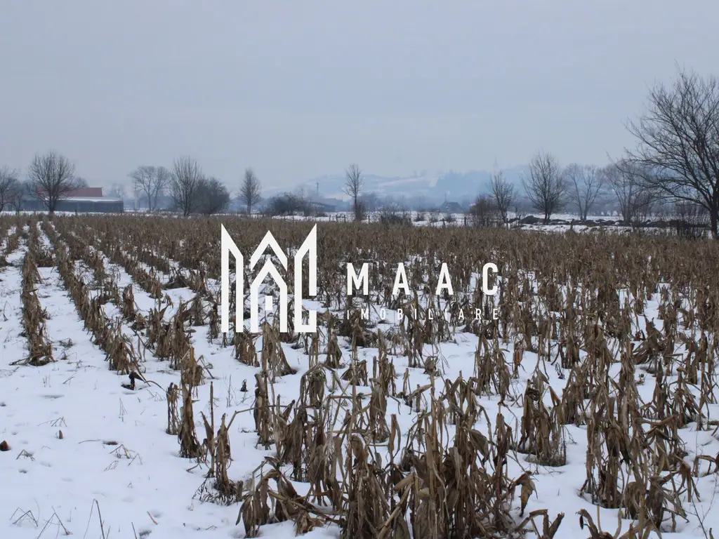 Fermă agricola funcțională de vanzare I Vurpar