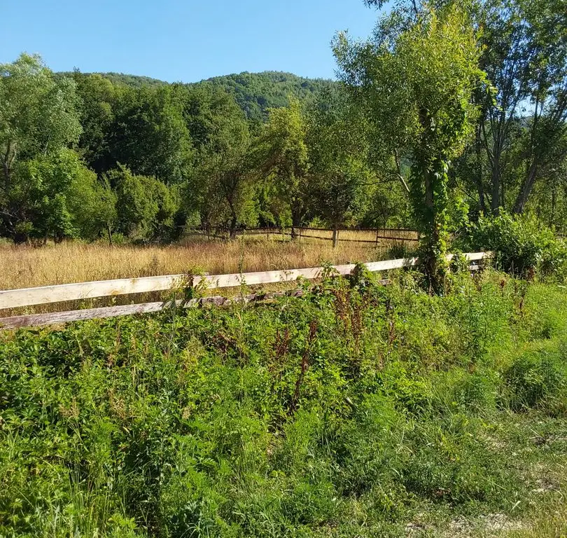 TEREN INTRAVILAN ZĂVOI\ZONA VALEA BISTREI, JUD.C-S