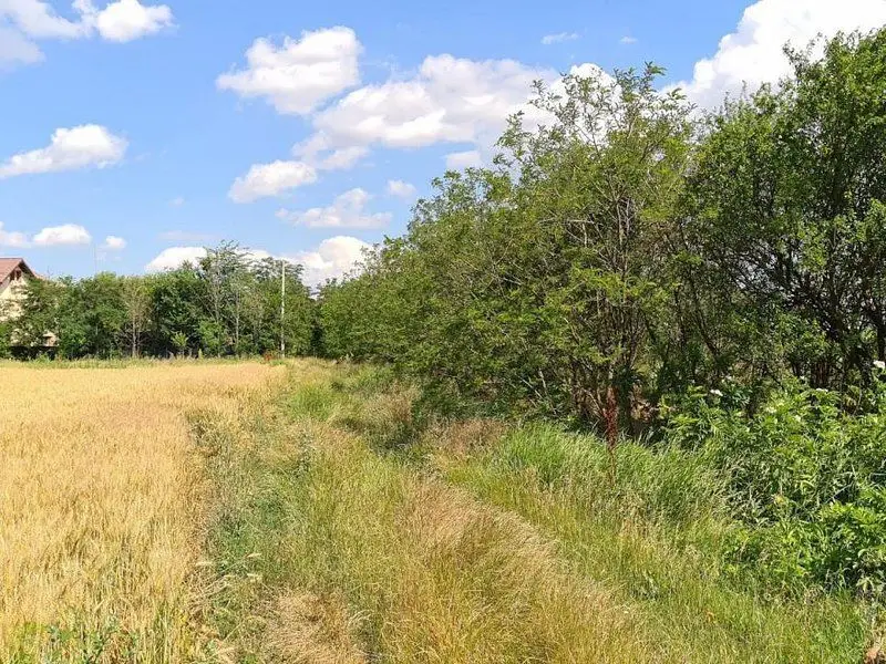 Vidra Complex Dealu Verde teren 385 mp
