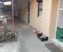 ageuropa.ro vinde casa in zona 14 Mai cu 3 cam. si teren aferent de 500mp.
