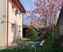 Vand casa curte + teren + SPATIU COMERCIAL