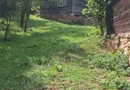De vânzare casă cu teren Albac 5000m²