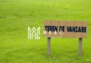 Teren extravilan | 7.800 mp | Saliste