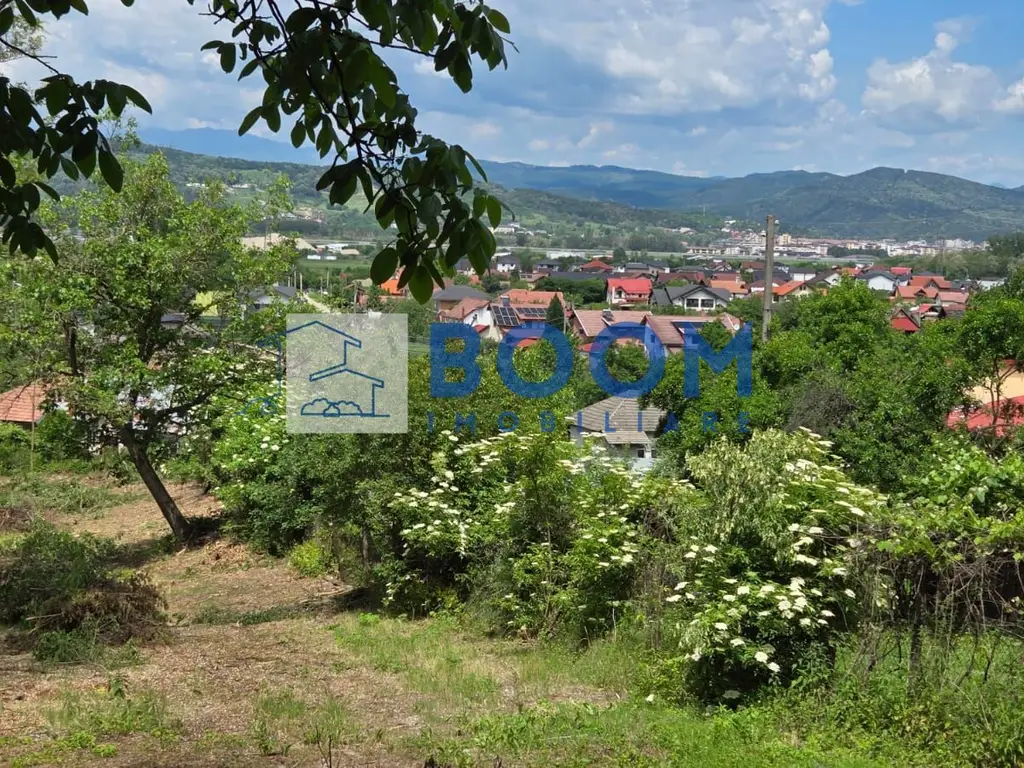 Teren 1036 MP | Budesti | La Strada Pincipala