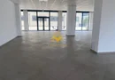 Spatiu comercial, Cartier Dambul Rotund, Lombului, Corneliu Coposu.