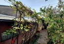 Proprietar casa individuala Bucurestii Noi-Aeromodelului- FARA AGENTII