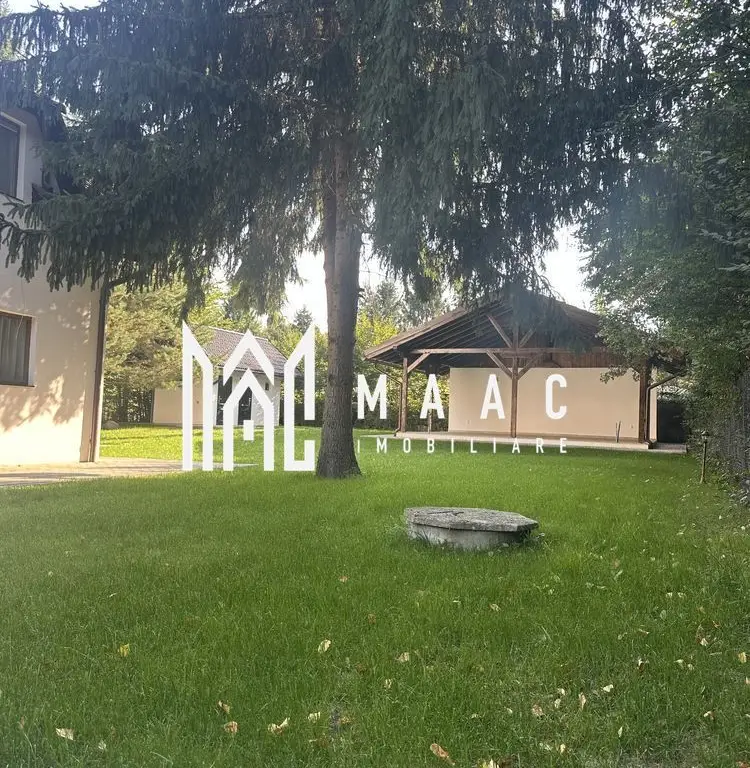 Oportunitate Valea Avrigului | Afacere la cheie |  Casa de vacanta |