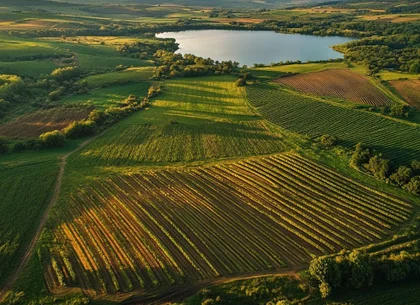 FERMĂ AGRICOLĂ PREMIUM 300 HA – INVESTIȚIE STRATEGICĂ ÎN TRANSILVANIA