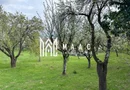 Teren | Intravilan | 855 MP