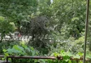 Vând apartament 185mp la Cișmigiu