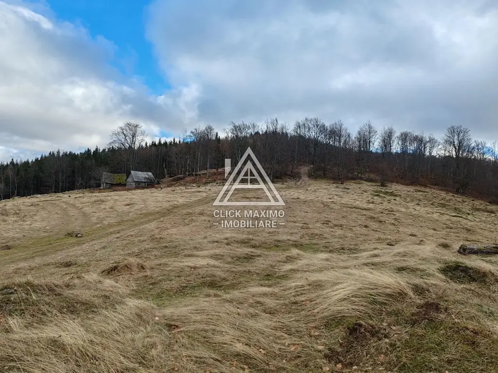 19.5 Hectare în Zona Turistică Montană – Bulz, Bihor