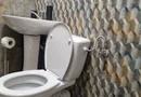 Ap Delfinariu Constanta
