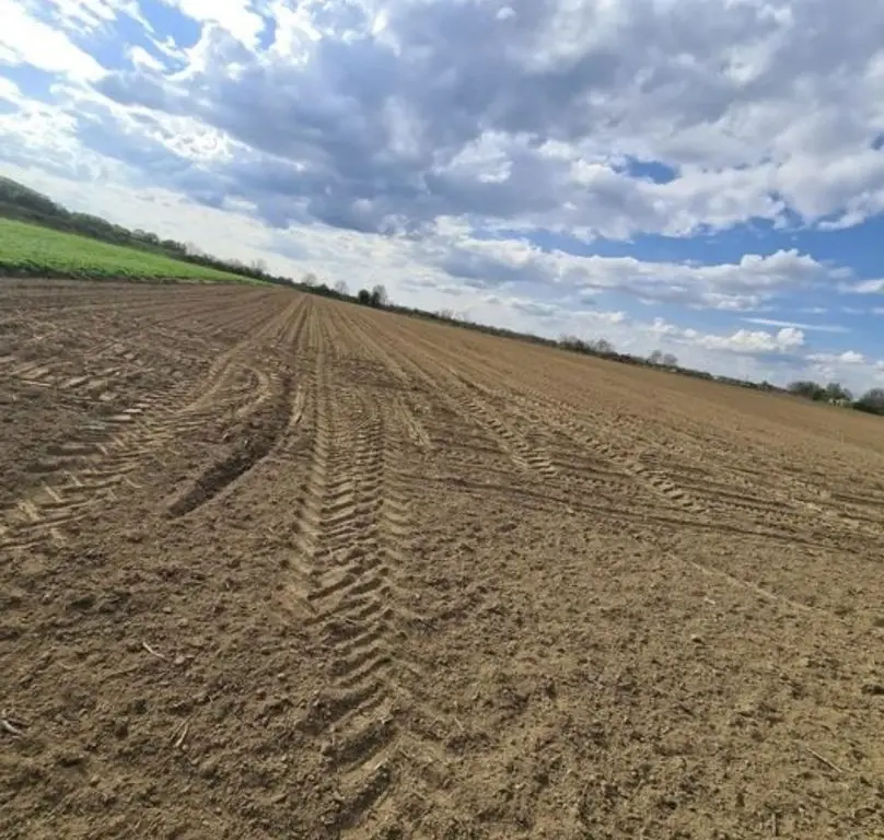 Vand teren extravilan in Martinesti
