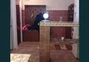 Apartament 2 camere Km 5