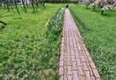 Buftea Centru – Teren 1807 mp + 2 case – Direct proprietar