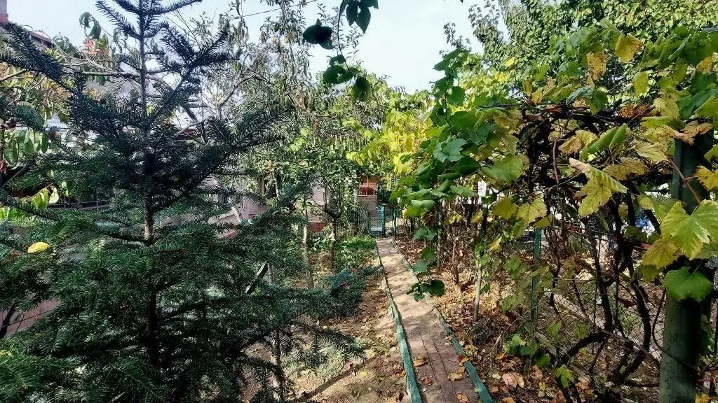 Proprietar casa individuala Bucurestii Noi-Aeromodelului- FARA AGENTII