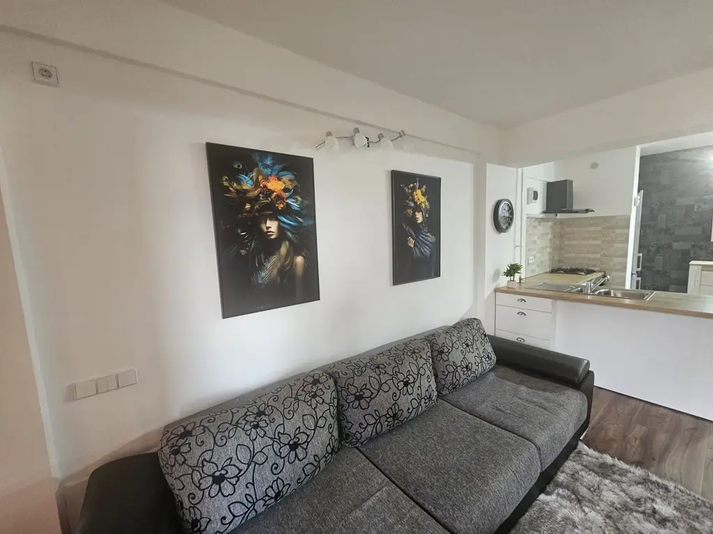 Apartament 2 camere, bloc 2010, garaj, Centru - Nord
