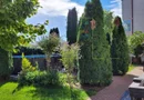 Apartament in vila cu curte mare. Parter.