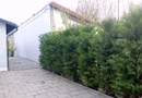 Casă renovată integral – ideală pentru birou/cabinet, sediu de firma