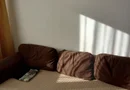Vand apartament 2 camere Compozitorilor