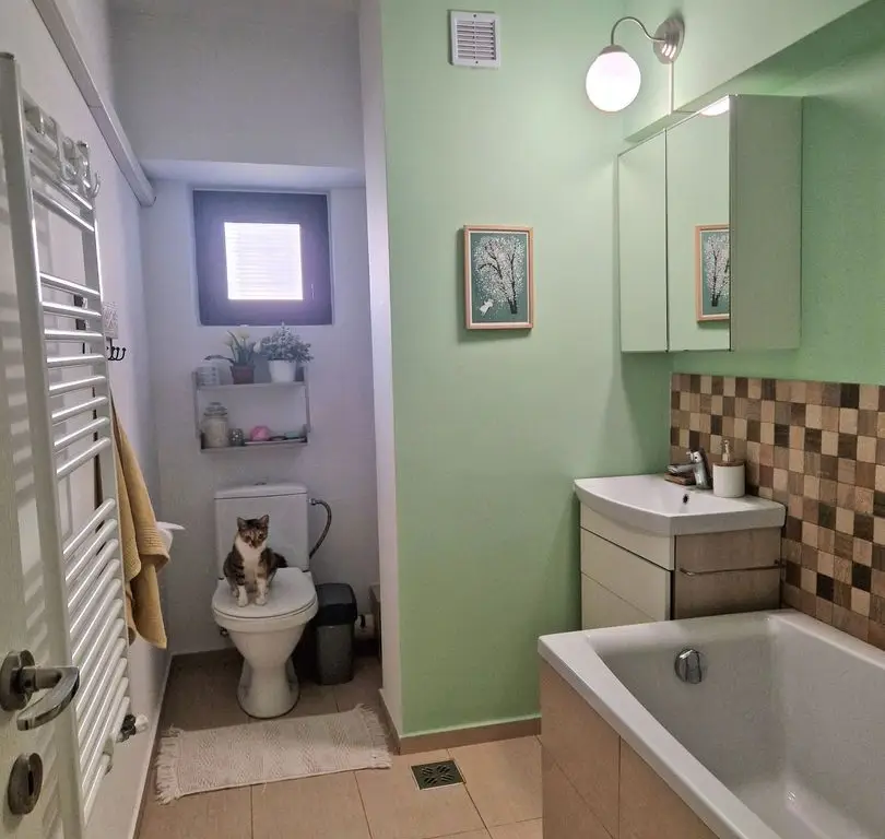 Vand apartament 3 cam D - Ultracentral - BRD Anastasie Panu
