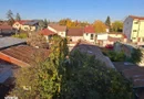 Casa cu mesteacan - DIRECT PROPRIETARI! - spectaculos toamna