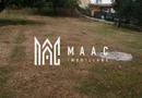 Teren Intravilan 10.000 mp | Livadă + Pădure de salcâm | Bărbătești