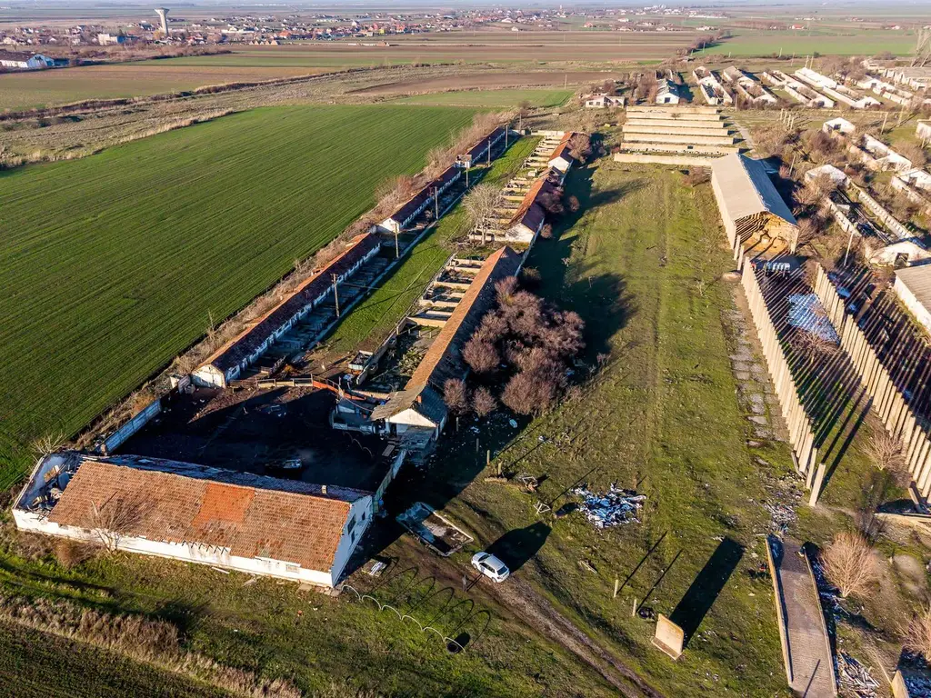 Teren 1.15 HA lângă Autostrada – Nădlac | clădiri+utilități