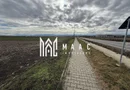Teren intravilan | 9600 mp | Șură Mică | Utilități | Drum Asfaltat