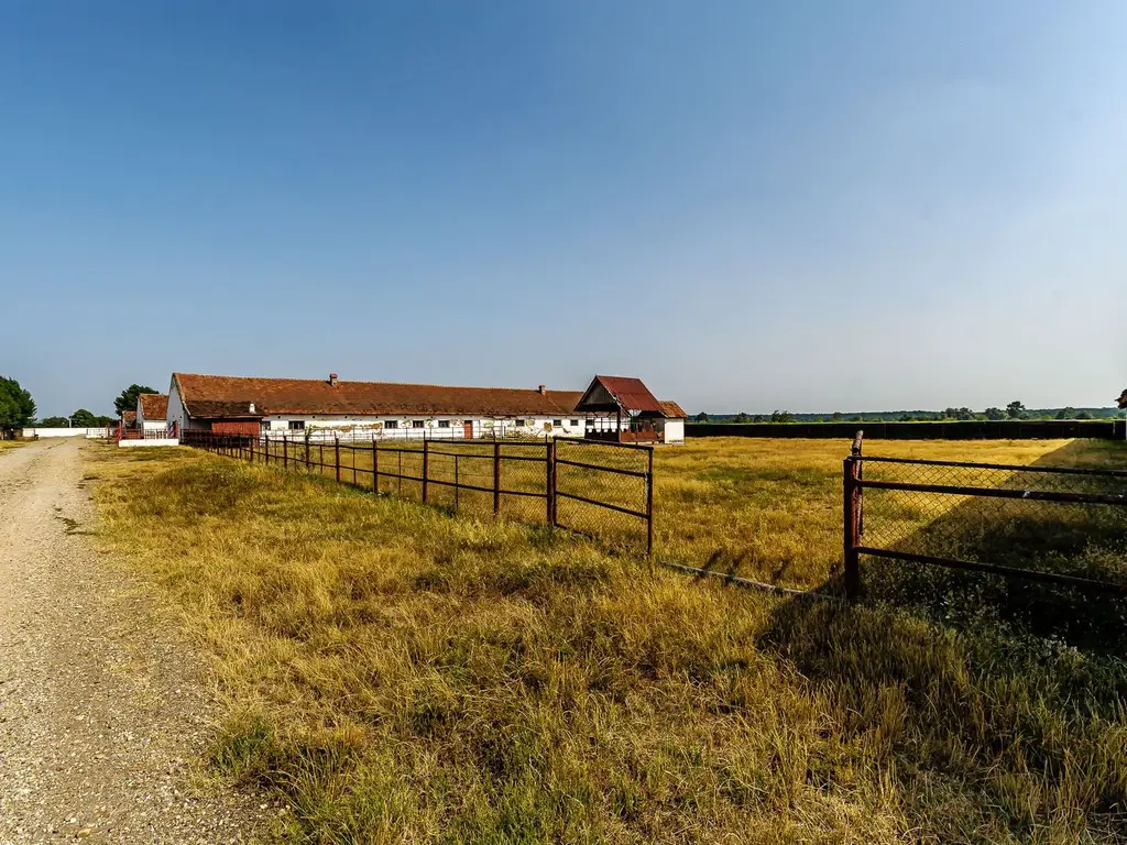 Fermă Mândruloc 2,5 ha