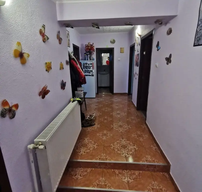 vand casa Satu Mare str spicului 3 cam placa de beton