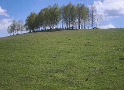 Teren de vânzare