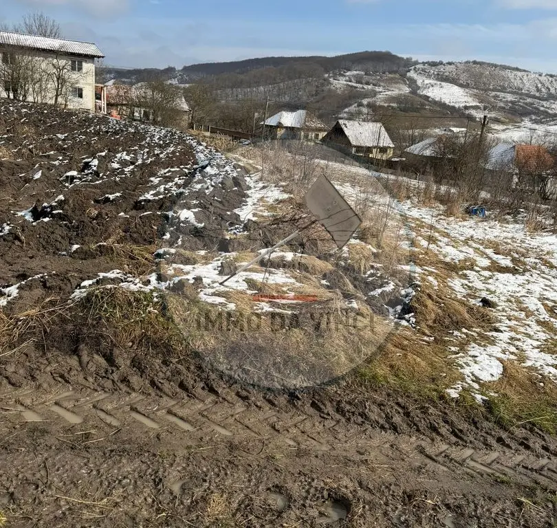 Teren Intravilan,Sanmartin CJ