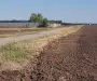 Branesti teren intravilan 30700 mp