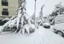 Apartament 3 camere Natura Residence I Baneasa Iancu Nicolae I COM 0%