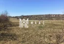 Teren | Intravilan | 400 MPU | Daia