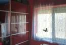 Apratament 3 camere, etajul 3, utilat, Carei, Zaganescu nr 4